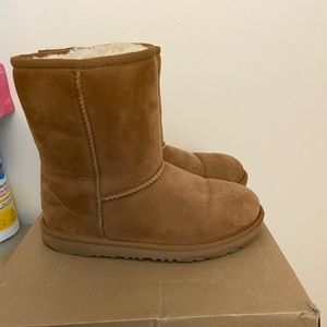 Ugg Chestnut